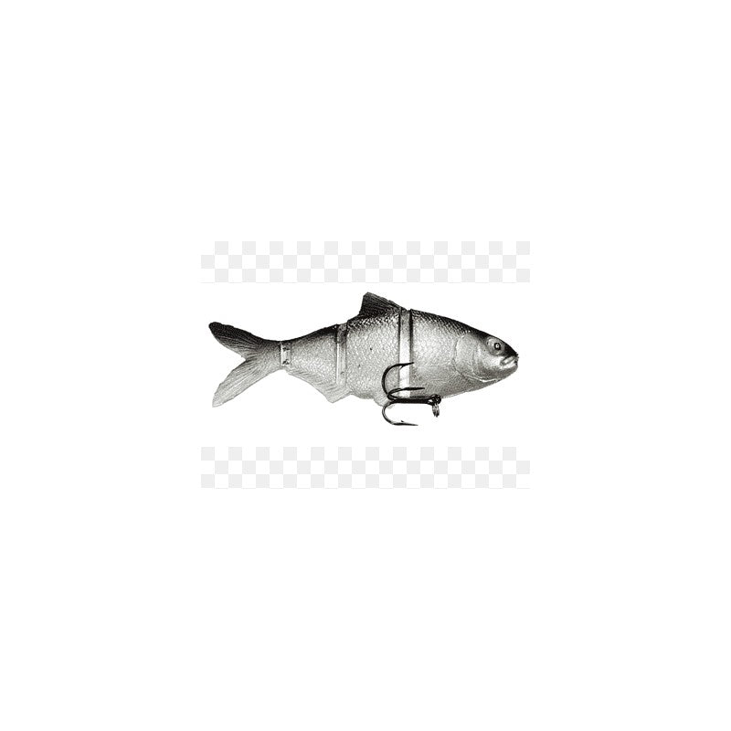 NALUCA TRAKKO CASTAIC CATCH22 / C22 4 SLOWS SILVER SHINER