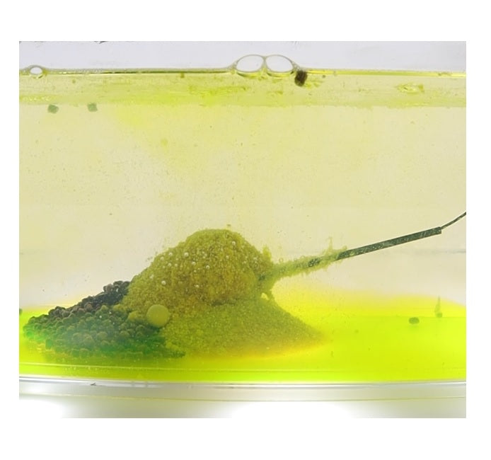 Nada Feeder CLAUMAR Nuclear, Larve Libelula, 800g