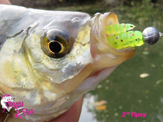 Naluca Crazy Fish Plastic Tipsy 5cm 55 Shrimp
