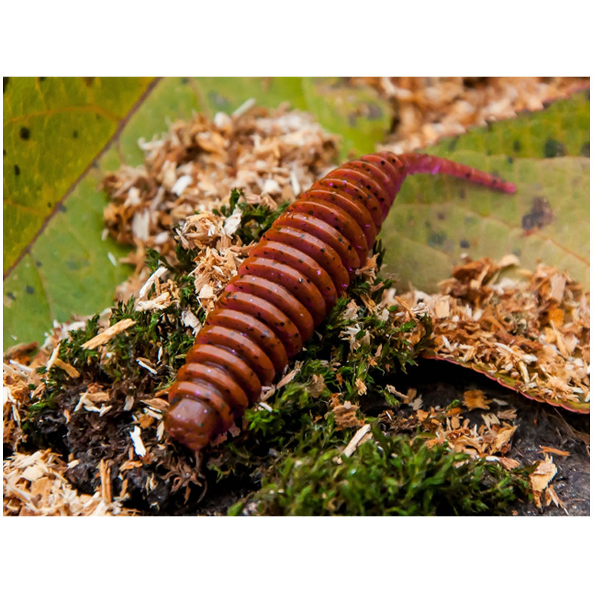 Naluca FISHUP Tanta, 050 Green Pumpkin Brown Red - Purple, 8.9cm, 5buc/pac