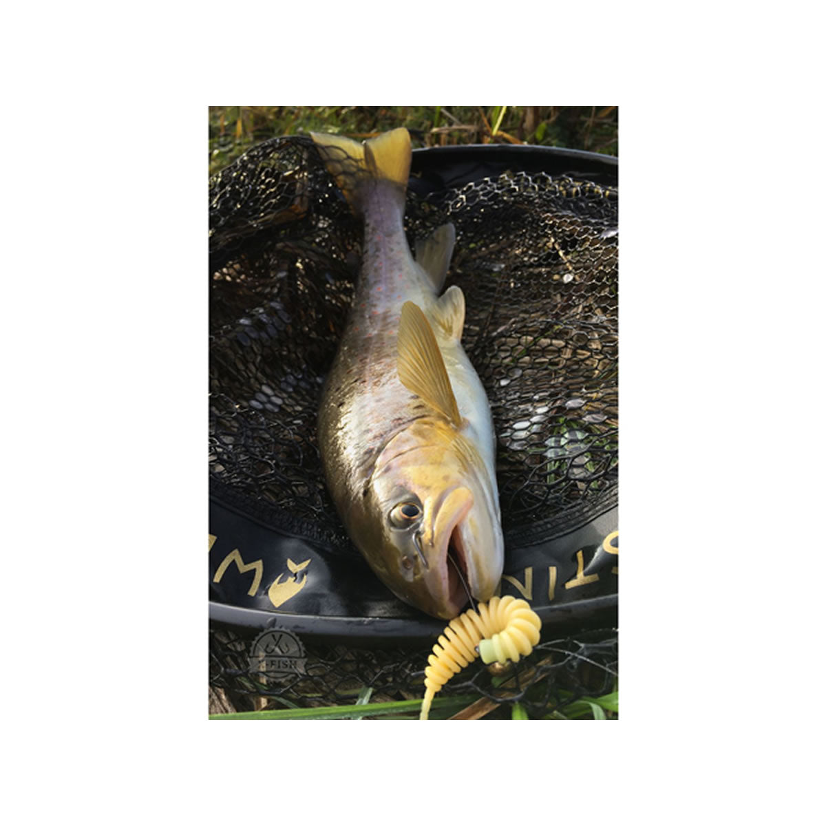 Naluca FISHUP Tanta, 050 Green Pumpkin Brown Red - Purple, 8.9cm, 5buc/pac