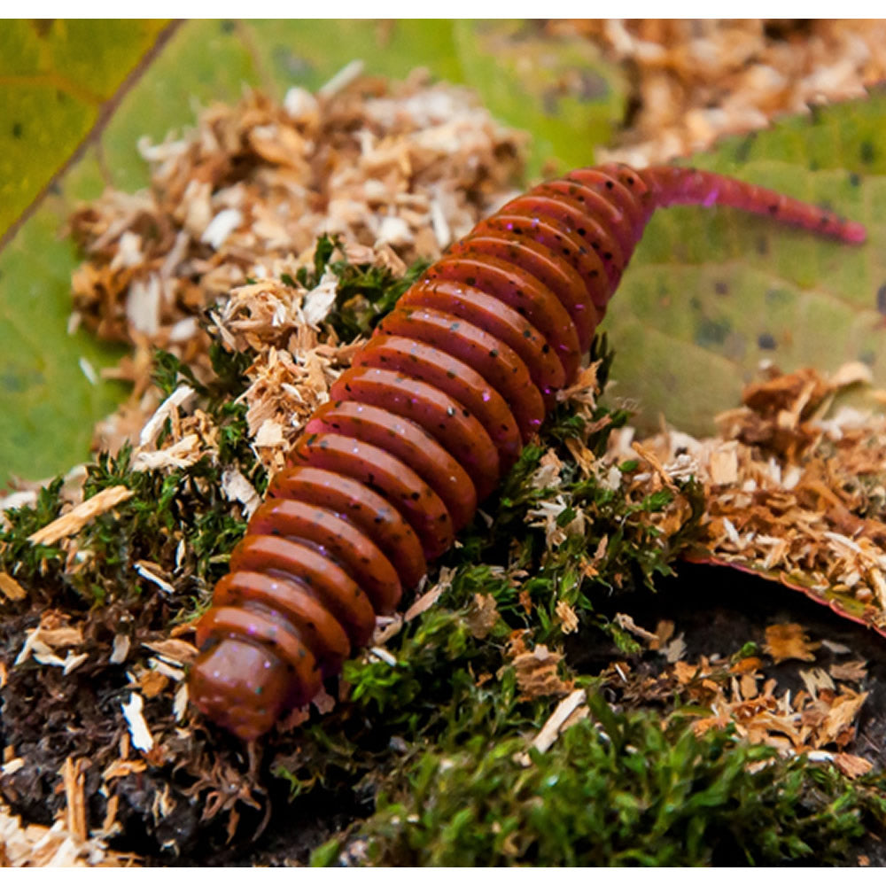 Naluca FISHUP Tanta 6.1cm, Motor Oil Red, 8buc/pac