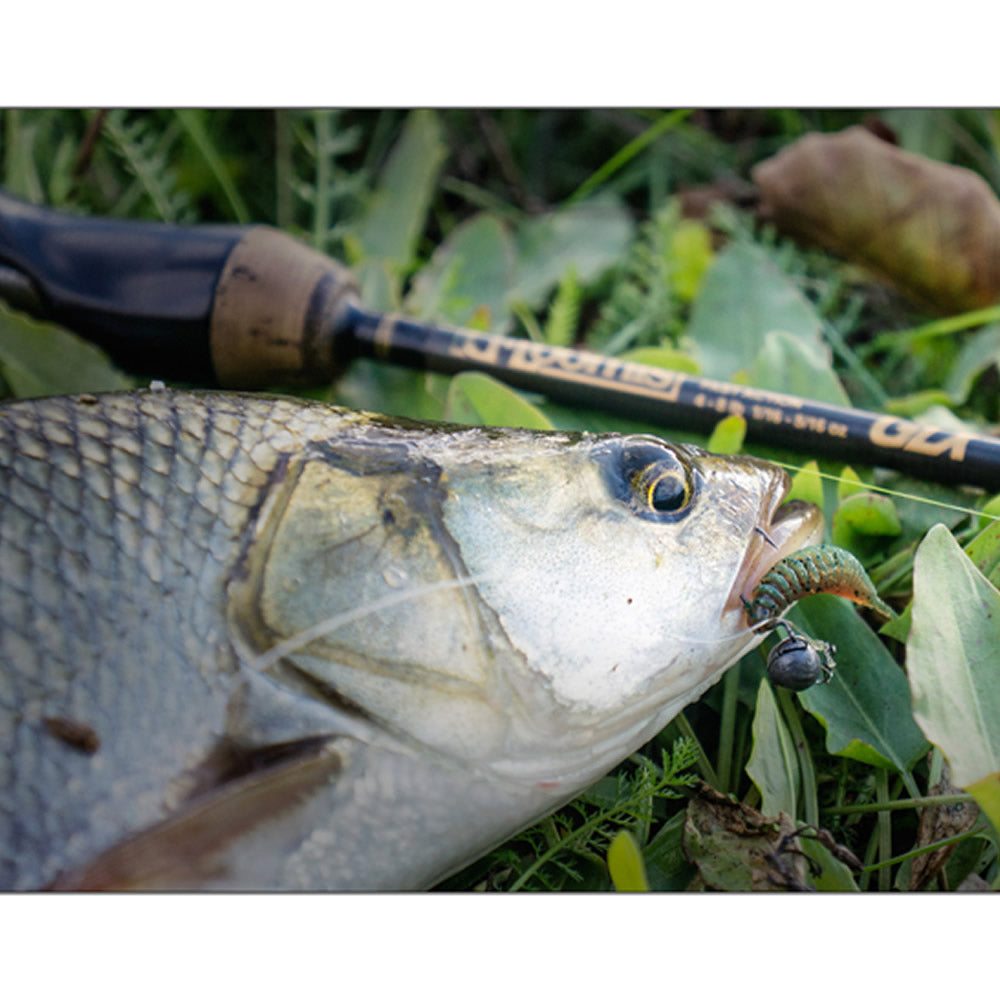 Naluca FISHUP Trout Series Tanta Cheese, 6.1cm, Apple Green, 8buc/pac