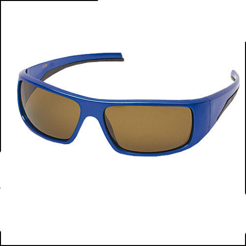 OCHELARI JAXON POLARIZANTI X36 SM GRI