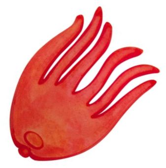 Opritor Momeala ZEBCO DB Series Bait Holding Flags, 20buc/pac