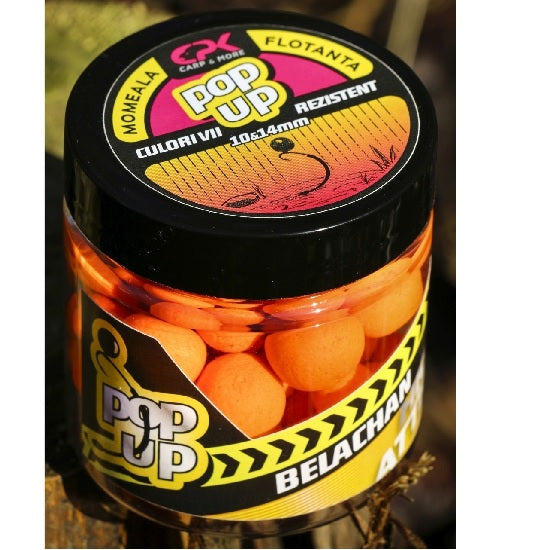 POP-UP HA BELACHAN 10 &amp; 14 MM 40 GR