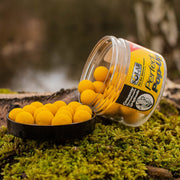POP-UPS SOLAR 14MM CREAMY SWEETCORN