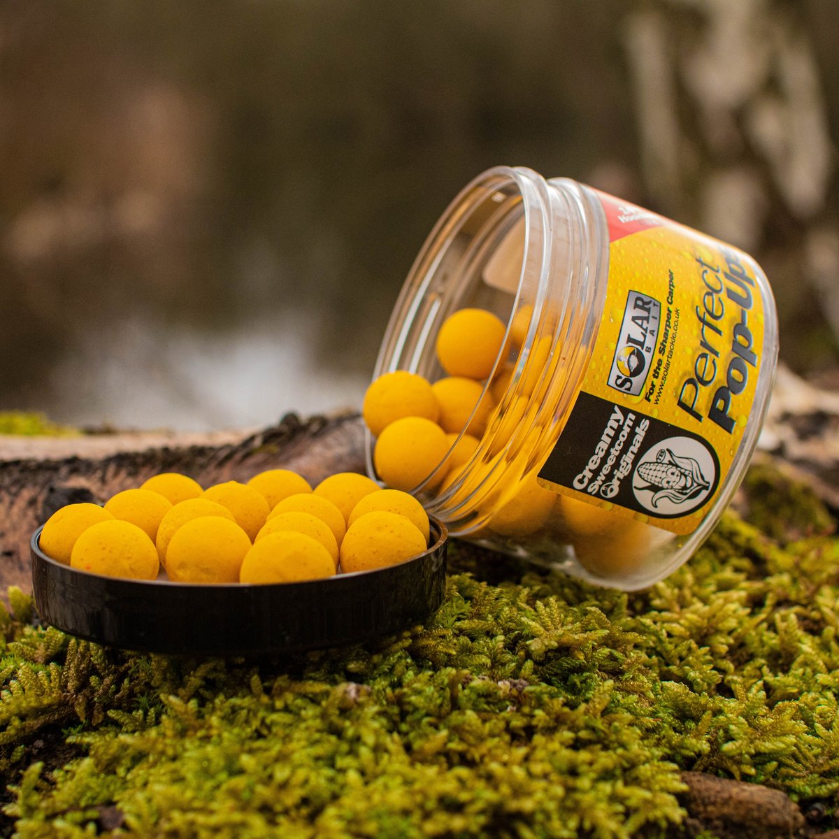 POP-UPS SOLAR 18MM CREAMY SWEETCORN