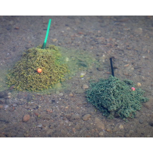 Pelete CPK Feeder 3D Pellet Disc Green Betain, 2mm, 800g