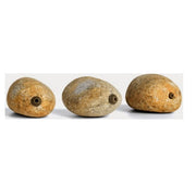 Piatra In-Line Stonze Pallatrax Mediu 50 Gr