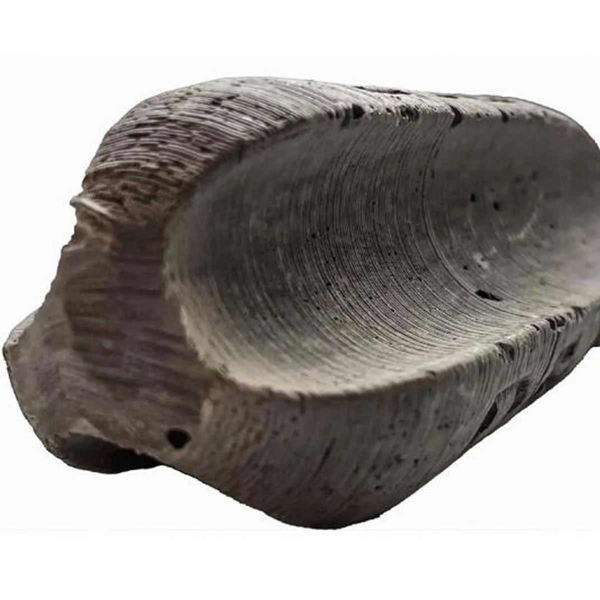 Plumb Ecologic In-Line ECO SINKERS Distance Paste