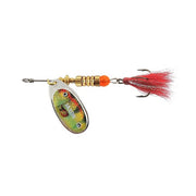 ROTATIVA JAXON HOLO SELECT KABOS 2F 5GR