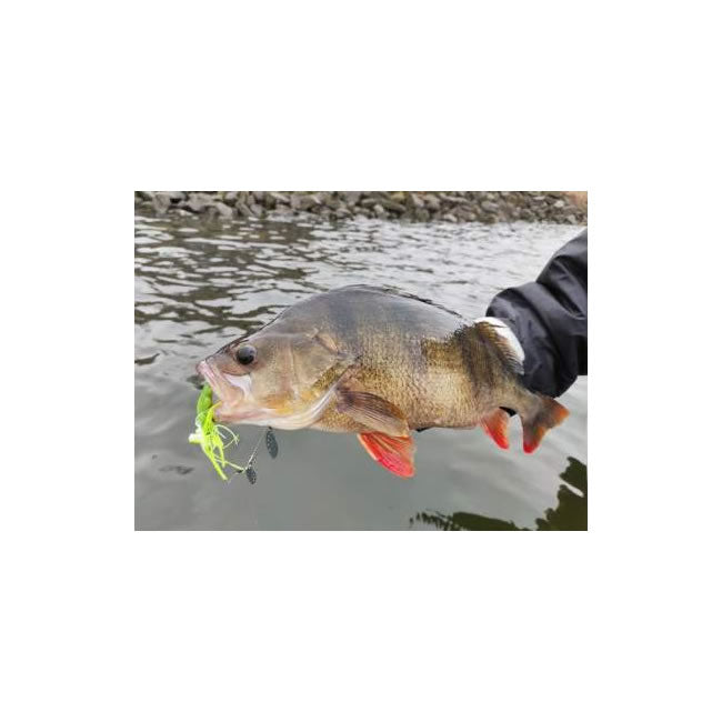 RTB Dual Blade Spinnerbait 16g Chartreuse Silver Glitter