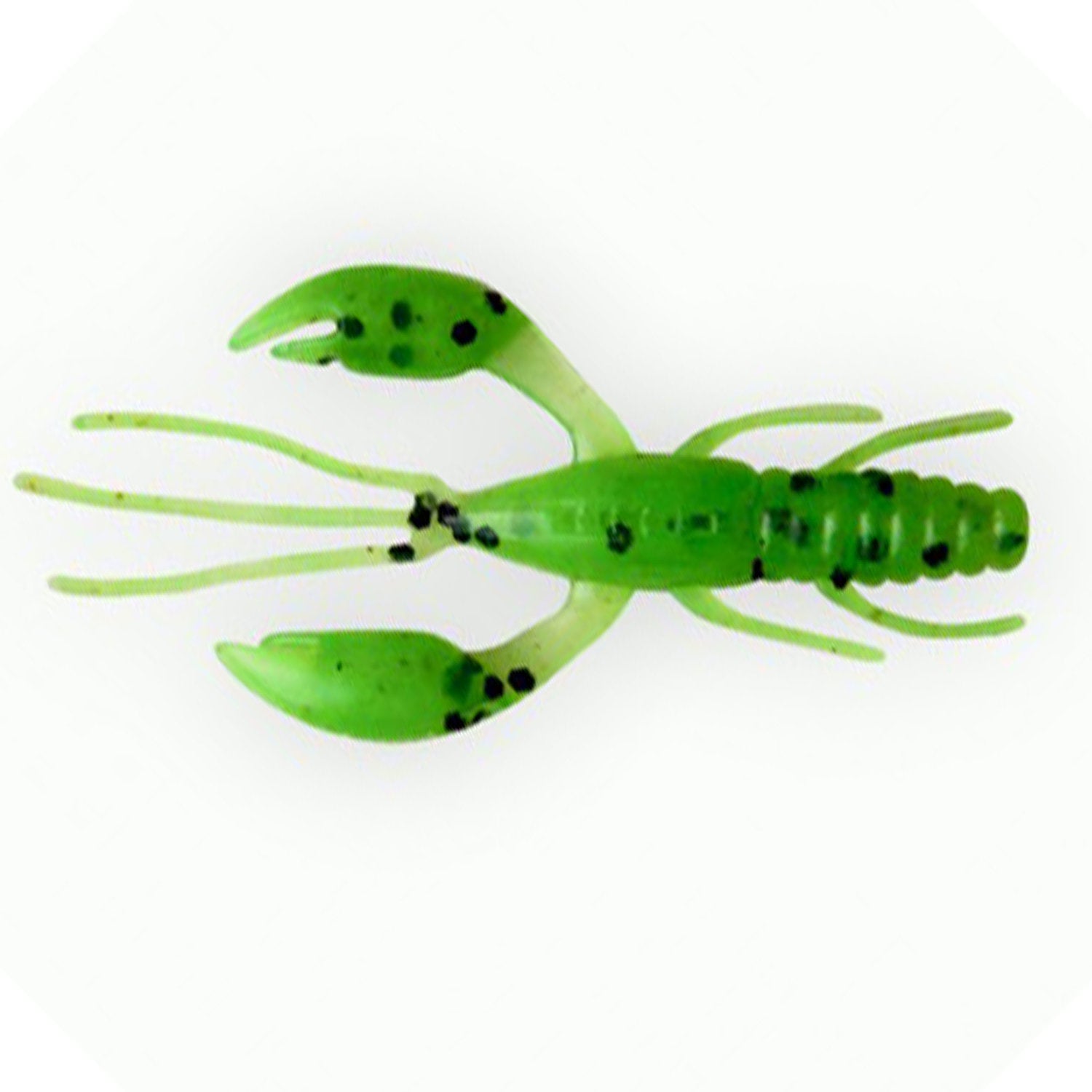 Rac Fanatik Raider 1.6 40mm 022 Spring Green UV