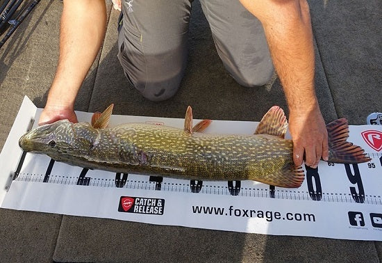 Rigla de masurare Fox Rage Voyager 150x30cm