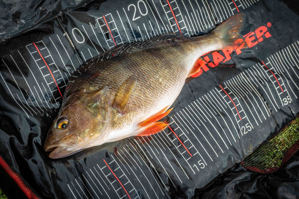 SALTEA DE CANTARIRE KORUM SNAPPER PERCH WEIGHING MAT