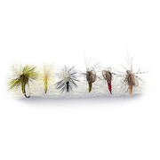 SET MUSTE MUSTAD DRY WULF 6BUC/PLIC EMERGERS