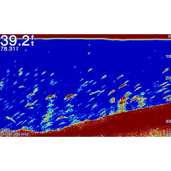 SONAR GARMIN ECOMAP PLUS 62CV WW GT20 XDCR