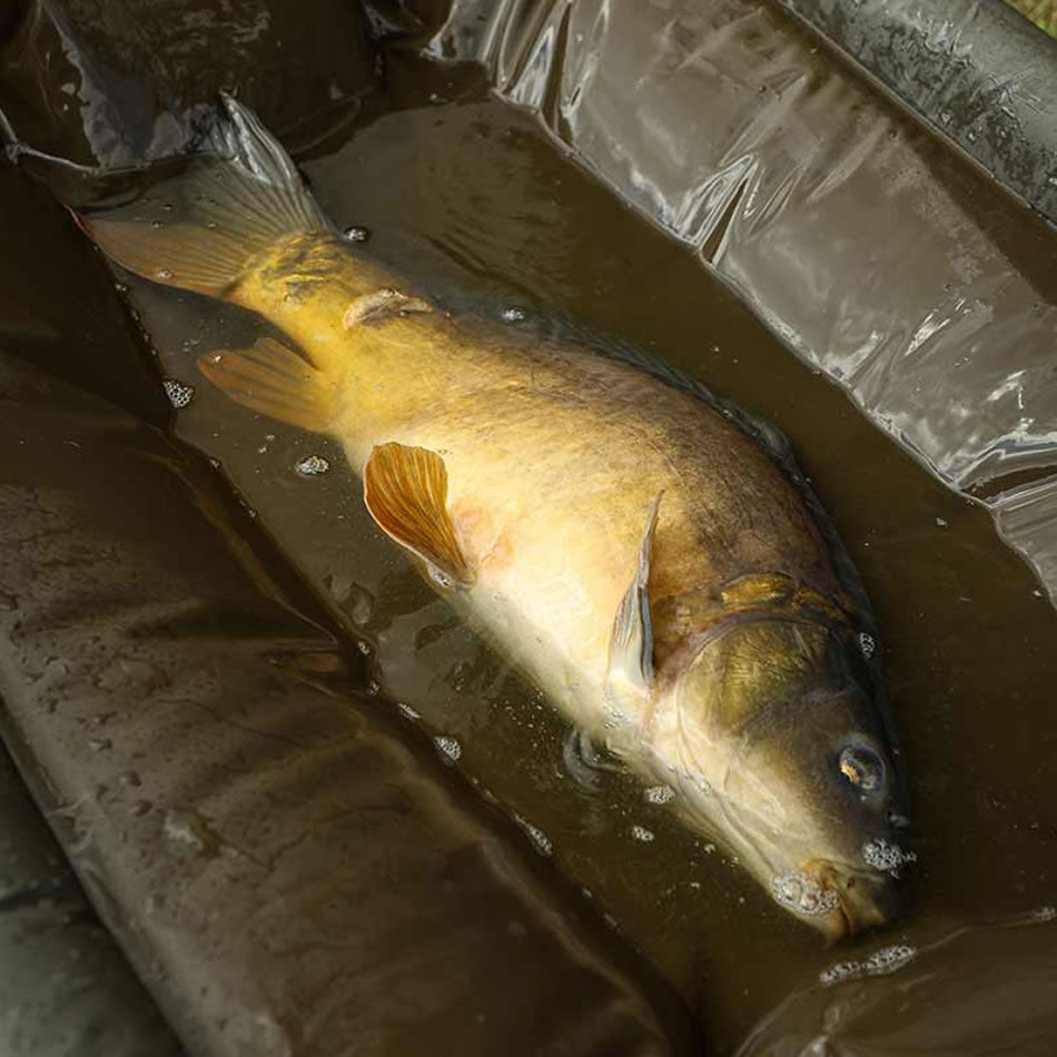 Saltea Receptie FOX Carpmaster Welded Cradle 126x78cm