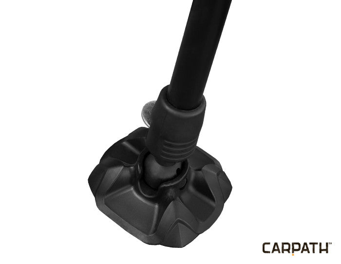 Scaun Delphin CM Carpath