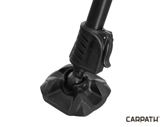 Scaun Delphin Rsc Carpath