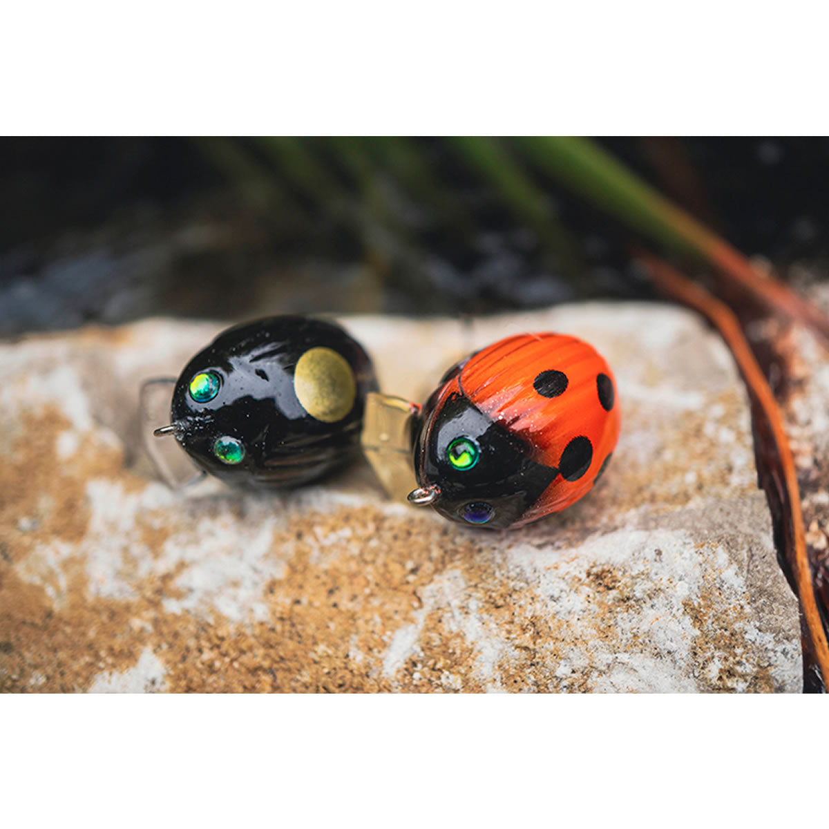 Set 3 Voblere Salmo Chub Pack