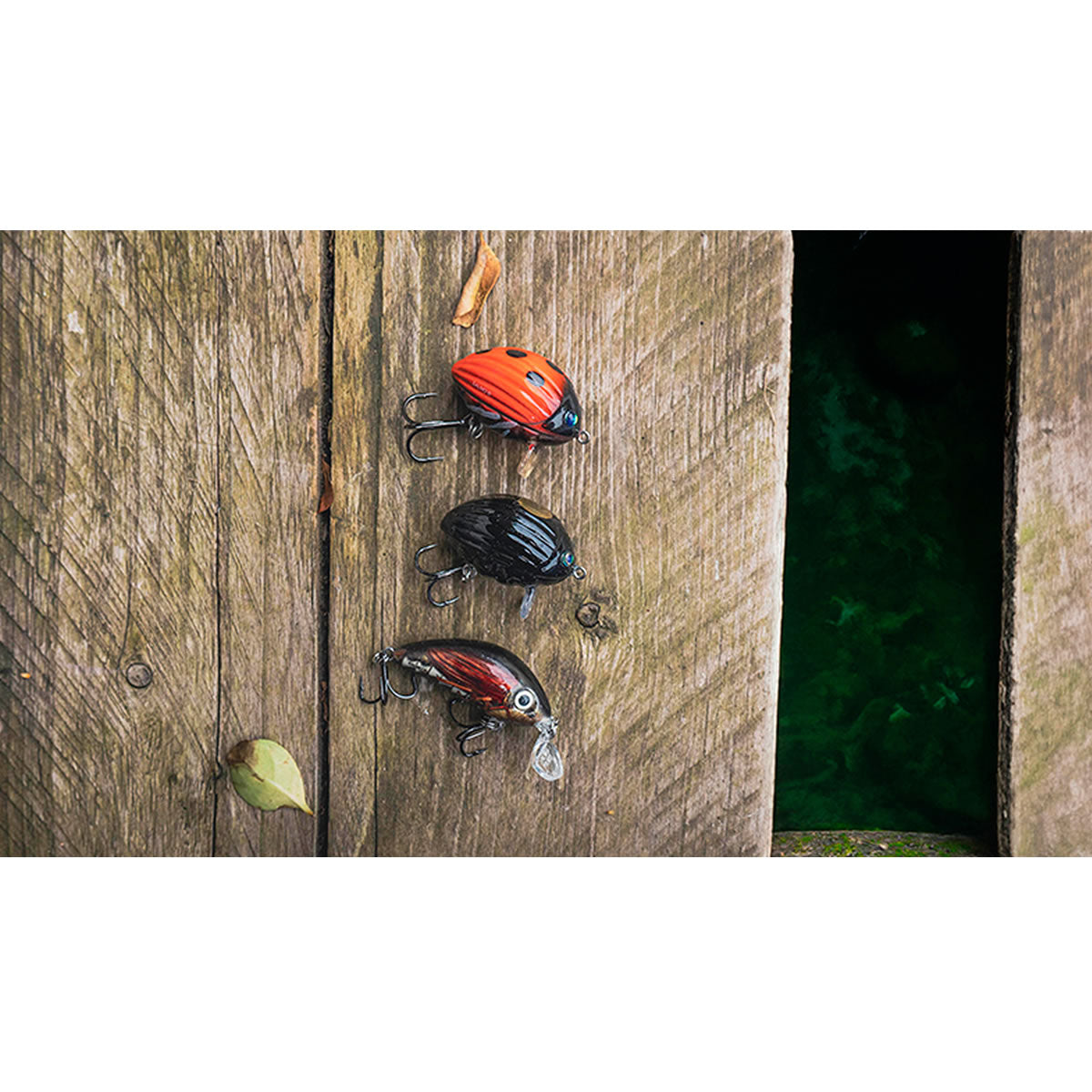 Set 3 Voblere Salmo Chub Pack