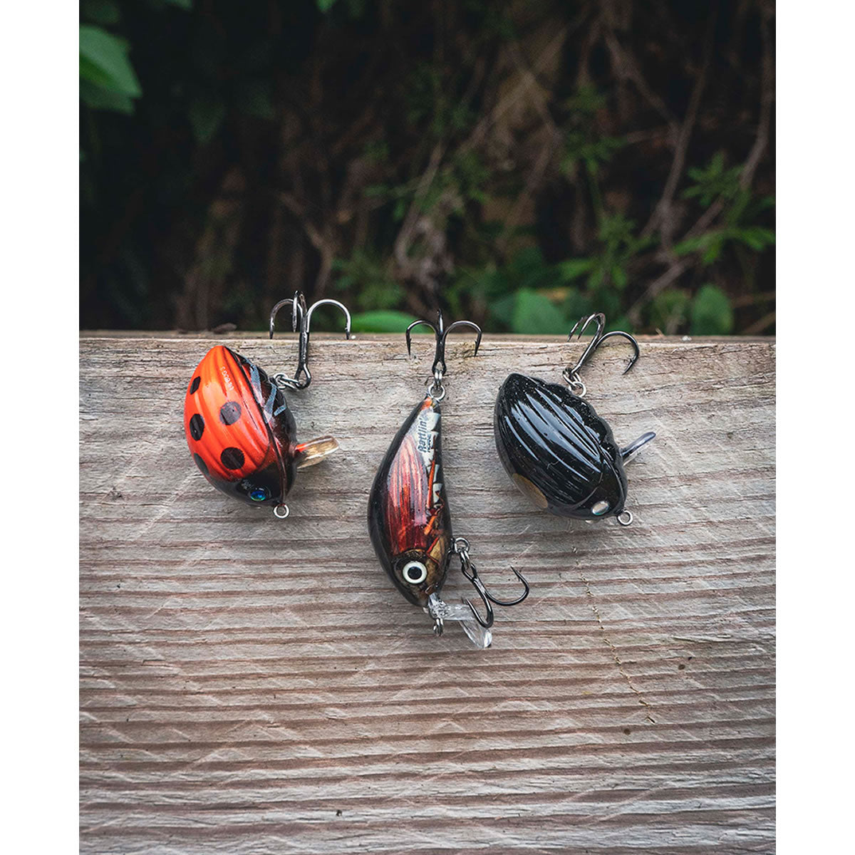 Set 3 Voblere Salmo Chub Pack