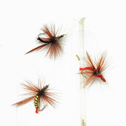 Set Muste Mostiro legate nr.8/0.20mm