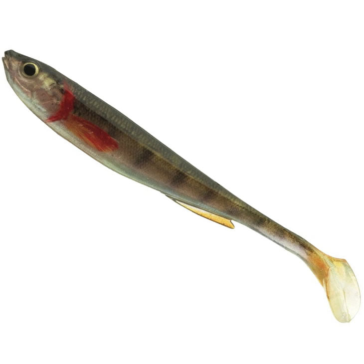 Shad DAIWA Prorex Real Slim Live, Gold Perch, 7.5cm, 3.3g, 5buc/pac