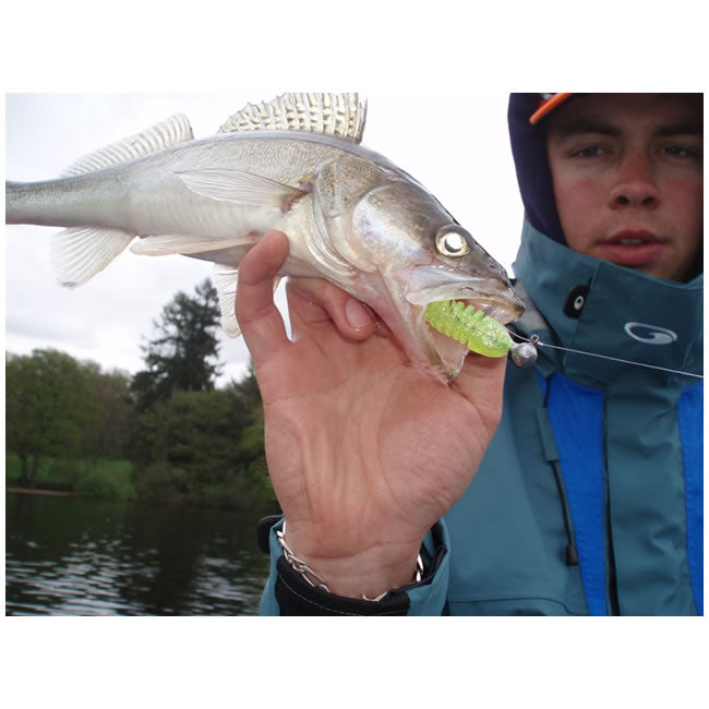 Shad Delalande Skeleton 11cm UV Bubble Gum 87