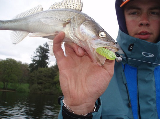 Shad Delalande Skeleton 11cm White Red Head 61