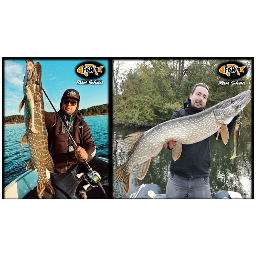 Shad FISHUP RAM Shad, 20.3cm, 60g, Silver Tiger, 1buc/pac