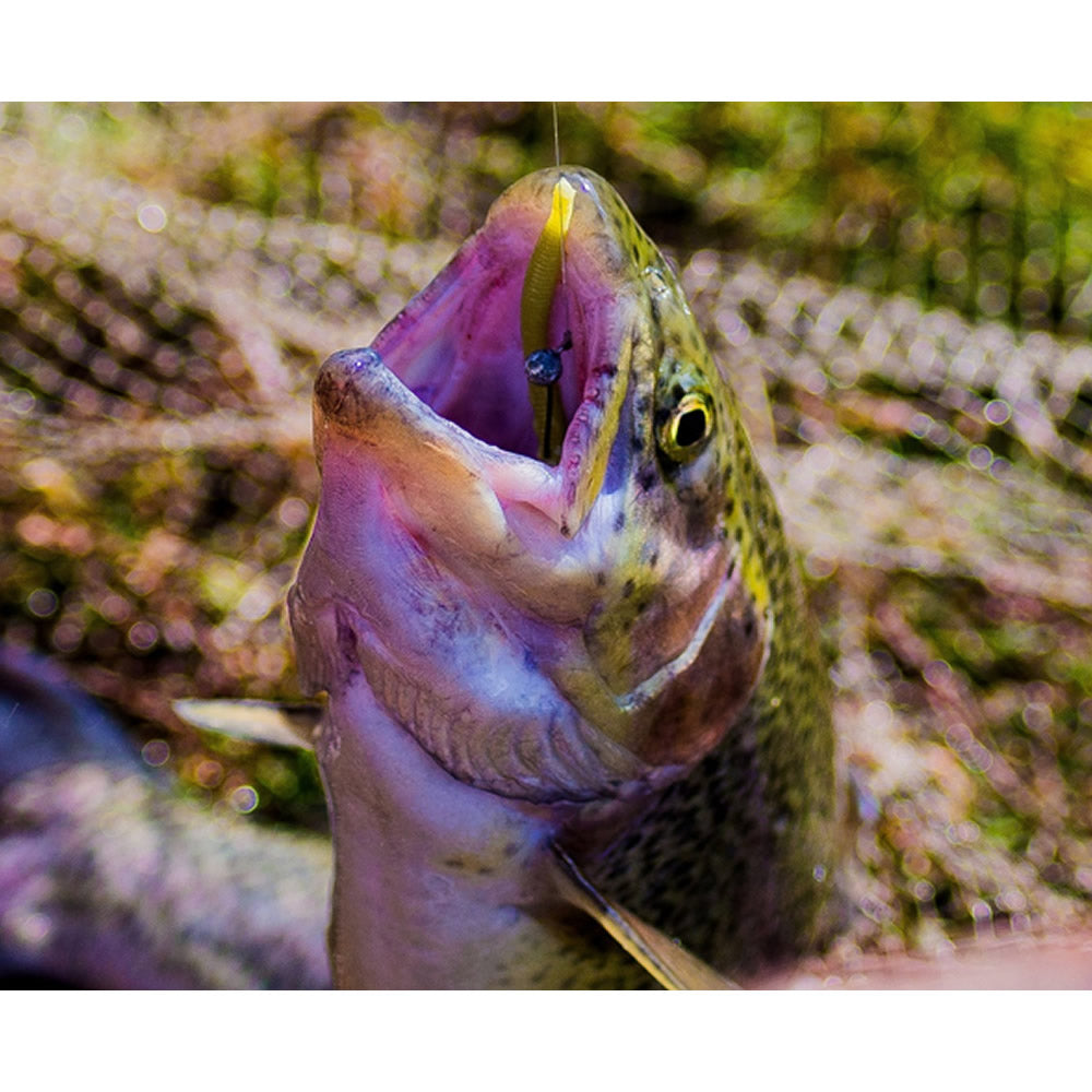  Shad FISHUP Trout Series Scaly Cheese 7cm, Earthworm, 10buc/pac