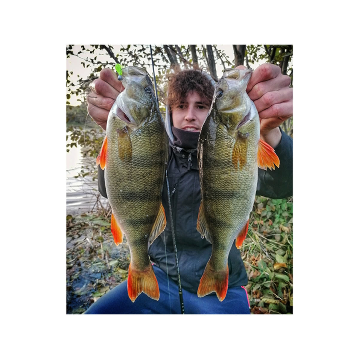 Shad FISHUP U-Shad, 049 Orange Pumpkin Black, 10.1cm, 8buc/pac