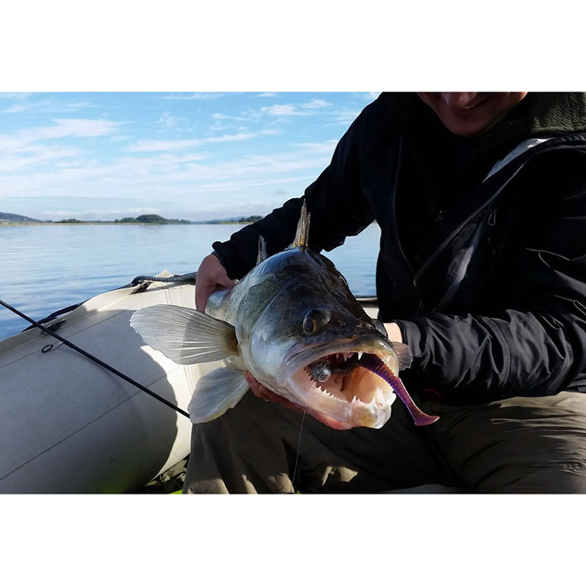 Shad FISHUP U-Shad, 215 Violet Pearl, 10.1cm, 8buc/pac
