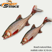 Shad Fast Strike Roach RNB Roach Natural Blue