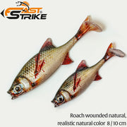 Shad Fast Strike Roach RWN Roach Wounded Natural