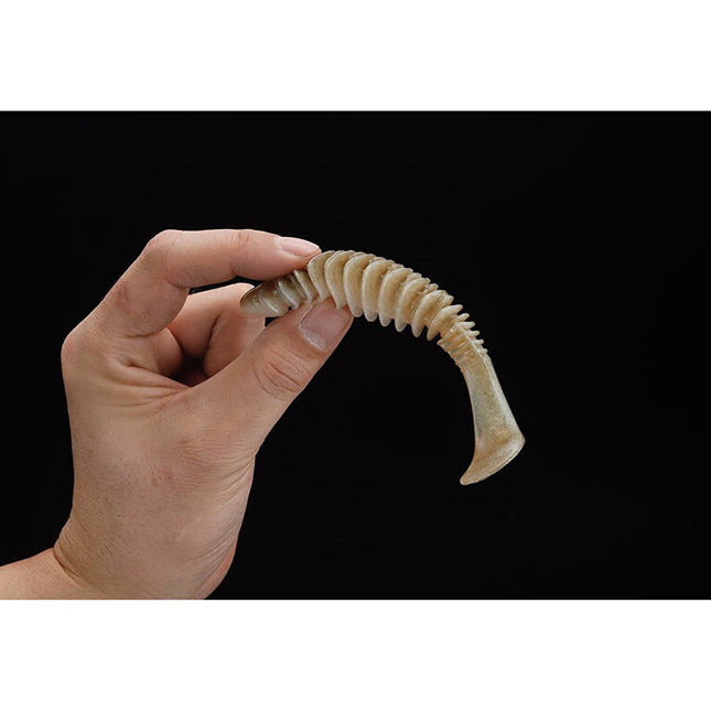 Shad Jackall Dead Slower, Super White, 12cm, 5buc/pac