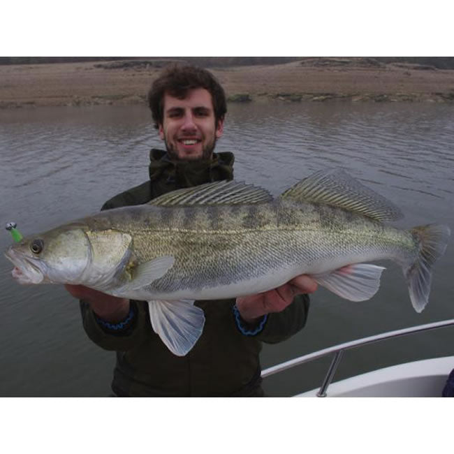 Shad Keitech Easy Shiner, Green Pumpkin - Chartreuse 401,  10cm, 7buc/pac