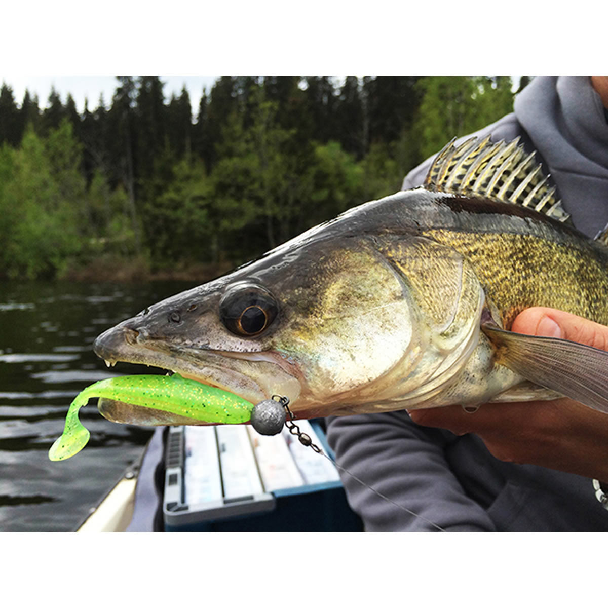 Shad Keitech Easy Shiner, Green Pumpkin  414, 8.9cm, 7buc/pac 