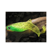 Shad Orka Fenix 9cm, culoare LY - 5 buc/plic