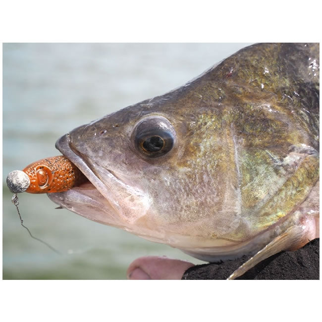 Shad Pontoon21 GAD Footsie 9cm 2231