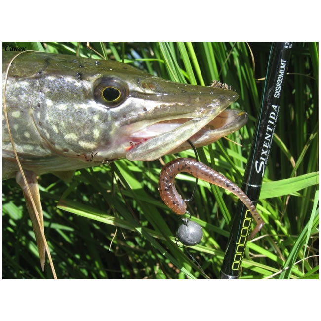Shad Pontoon21 Ratta, 429, 7cm, 7buc/pac