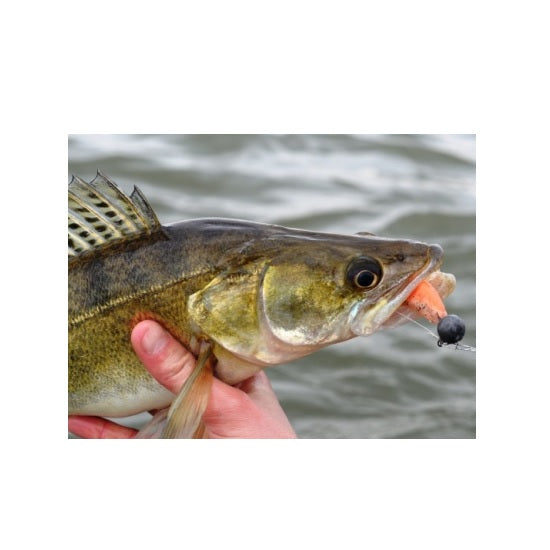 Shad Westin HypoTeez 9cm Fireflake