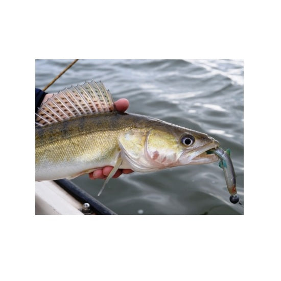 Shad Westin HypoTeez ST 15cm Headlight