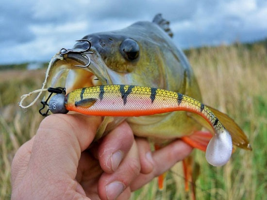 Shad Westin ShadTeez 7.5cm/ 3Gr Headlight