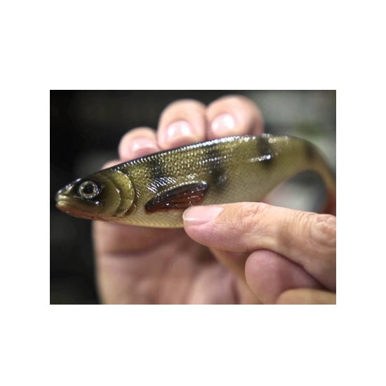 Shad Westin ShadTeez 7.5cm Bling Perch 4pcs