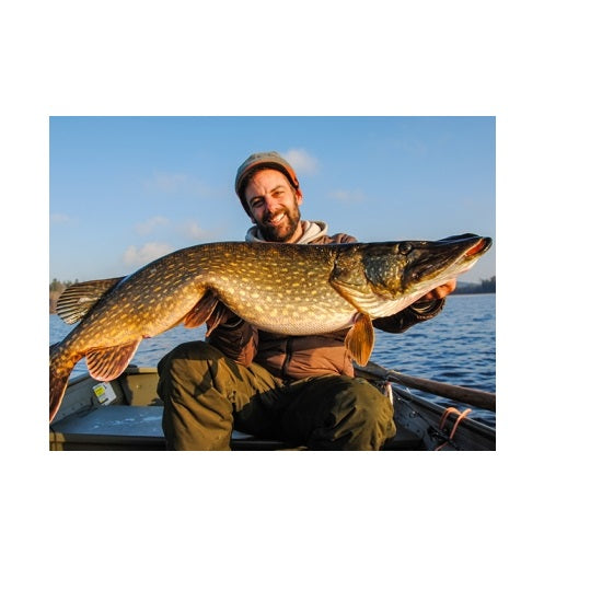 Shad Westin ShadTeez 9cm Firetiger