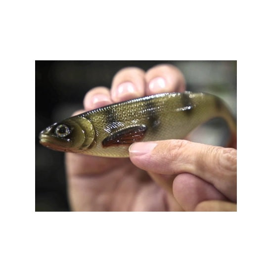 Shad Westin ShadTeez 9cm Headlight